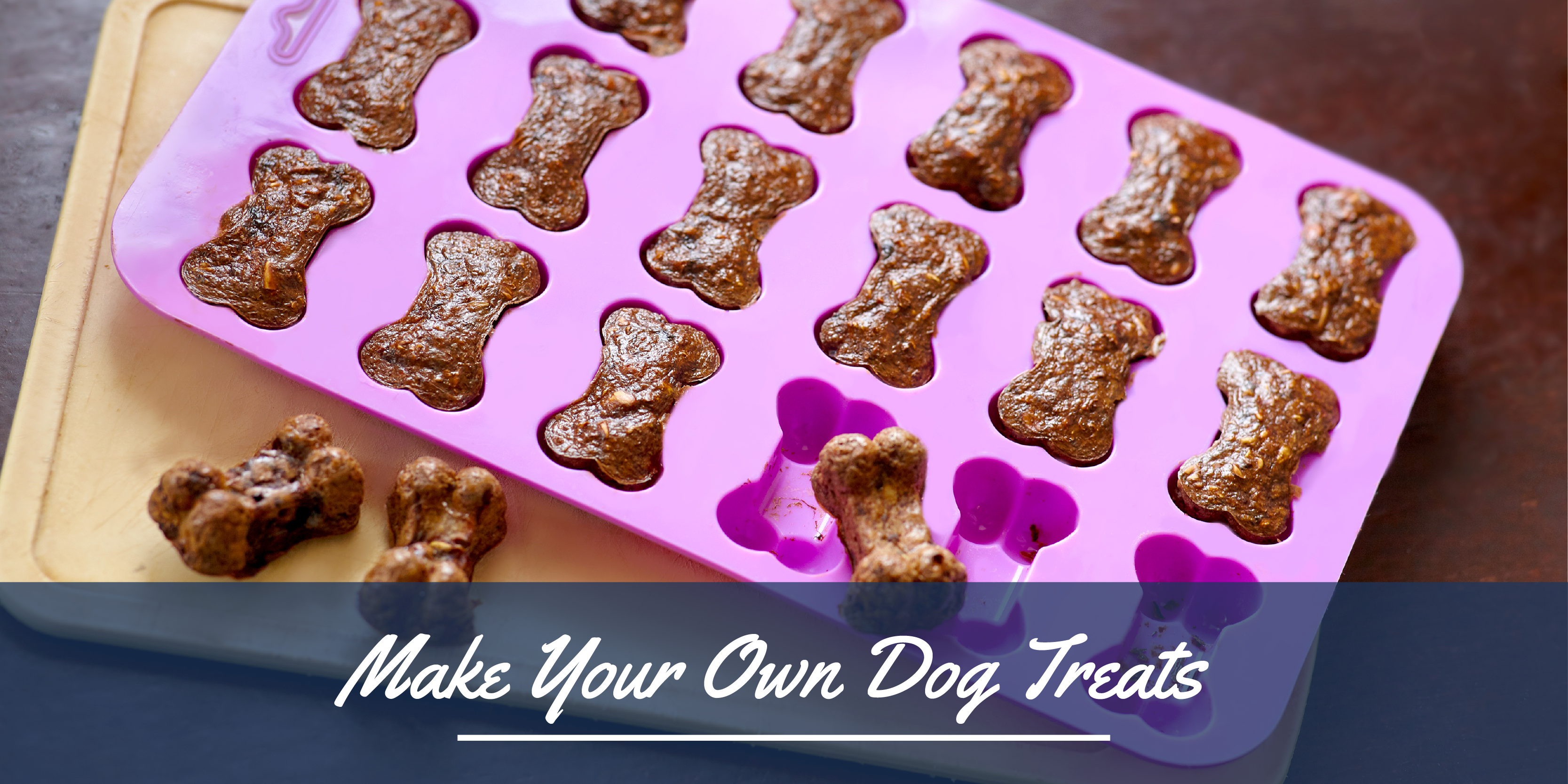 July blog header graphic - dog treats-01
